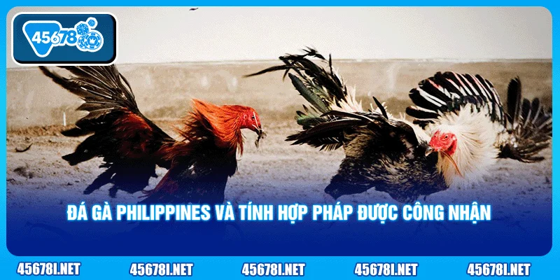 Đá gà Philippines và tính hợp pháp được công nhận