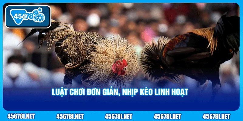 Luật chơi đơn giản, nhịp kèo linh hoạt